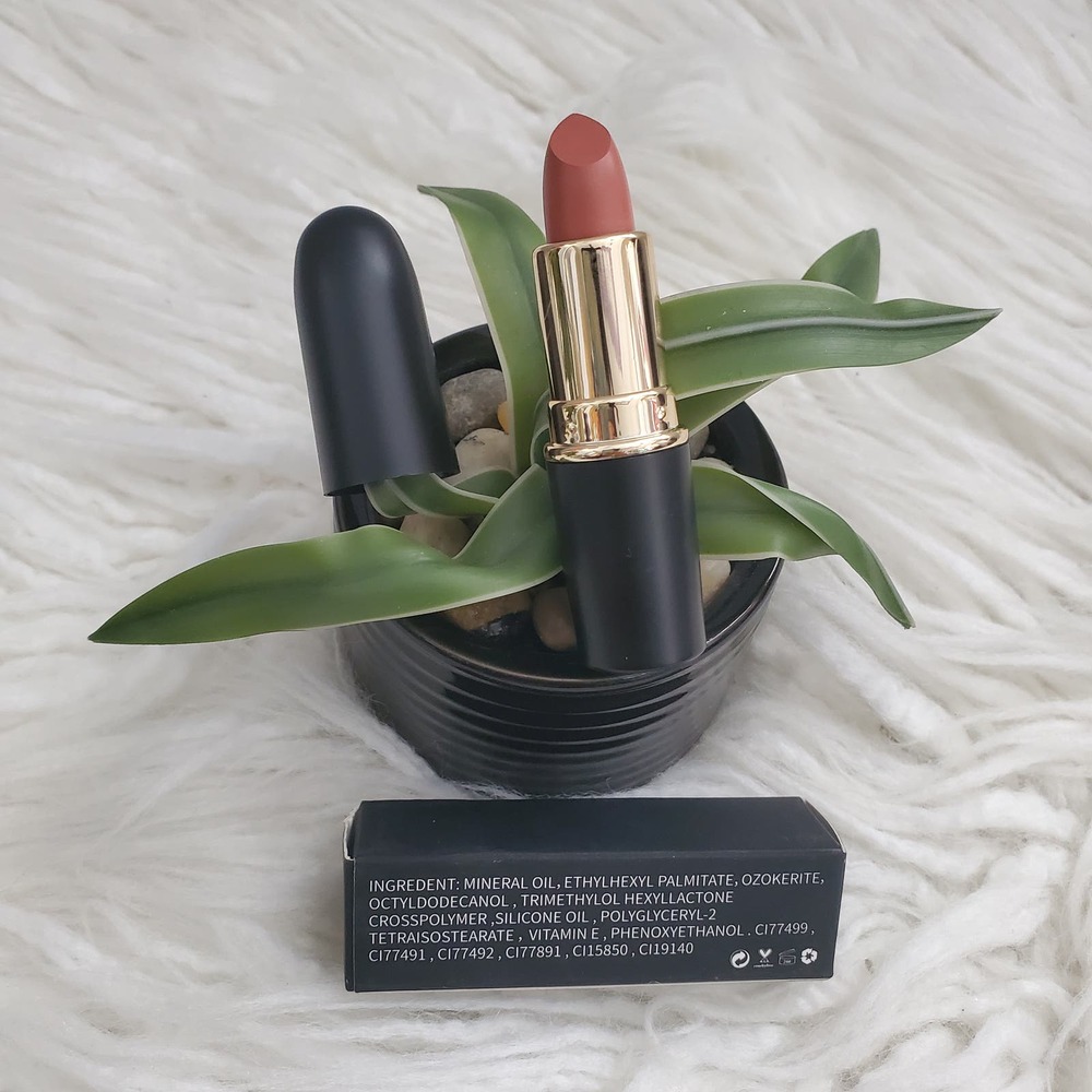 TASH Cosmetics Matte Tube Lipstick #10